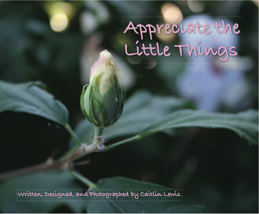 Book by Caitlin Lewis